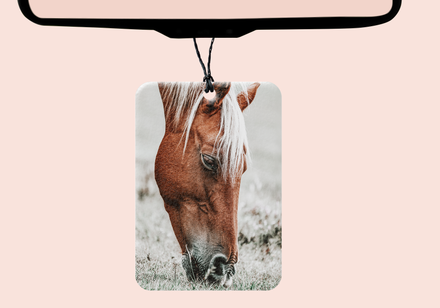 Western Misfits Boutique - Boho Horse Car Felt Freshener
